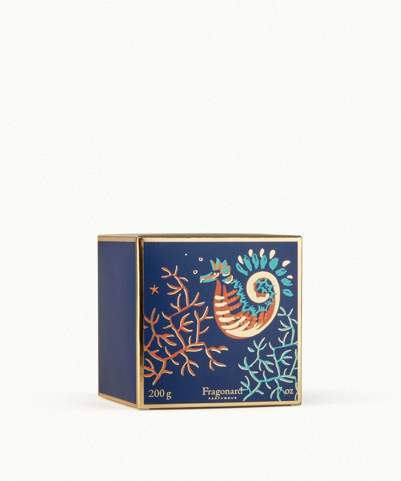 Menthe Basilic Candle