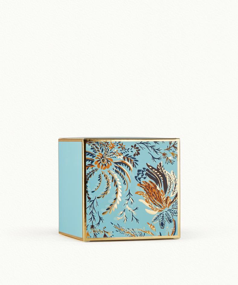 Anis Etoilé Lavande Candle