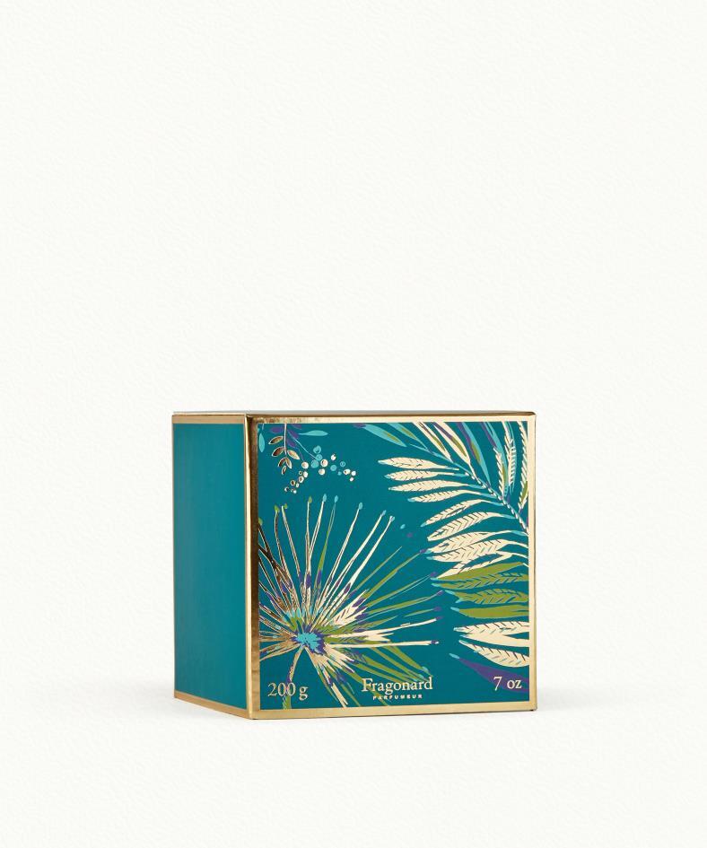 Coriandre Lemongrass Candle sold with case