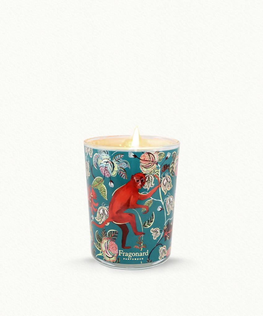 Bois Dansant Candle with case - Decorated glass pot