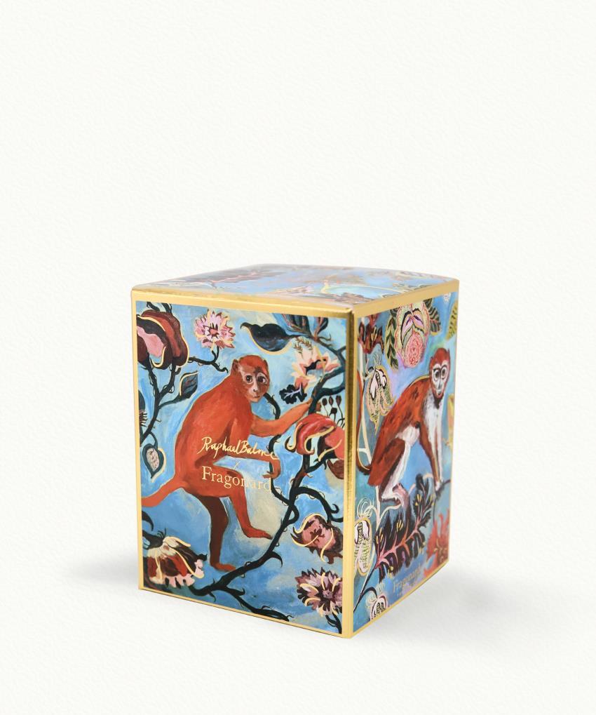 Bois Dansant Candle with case - Decorated glass pot