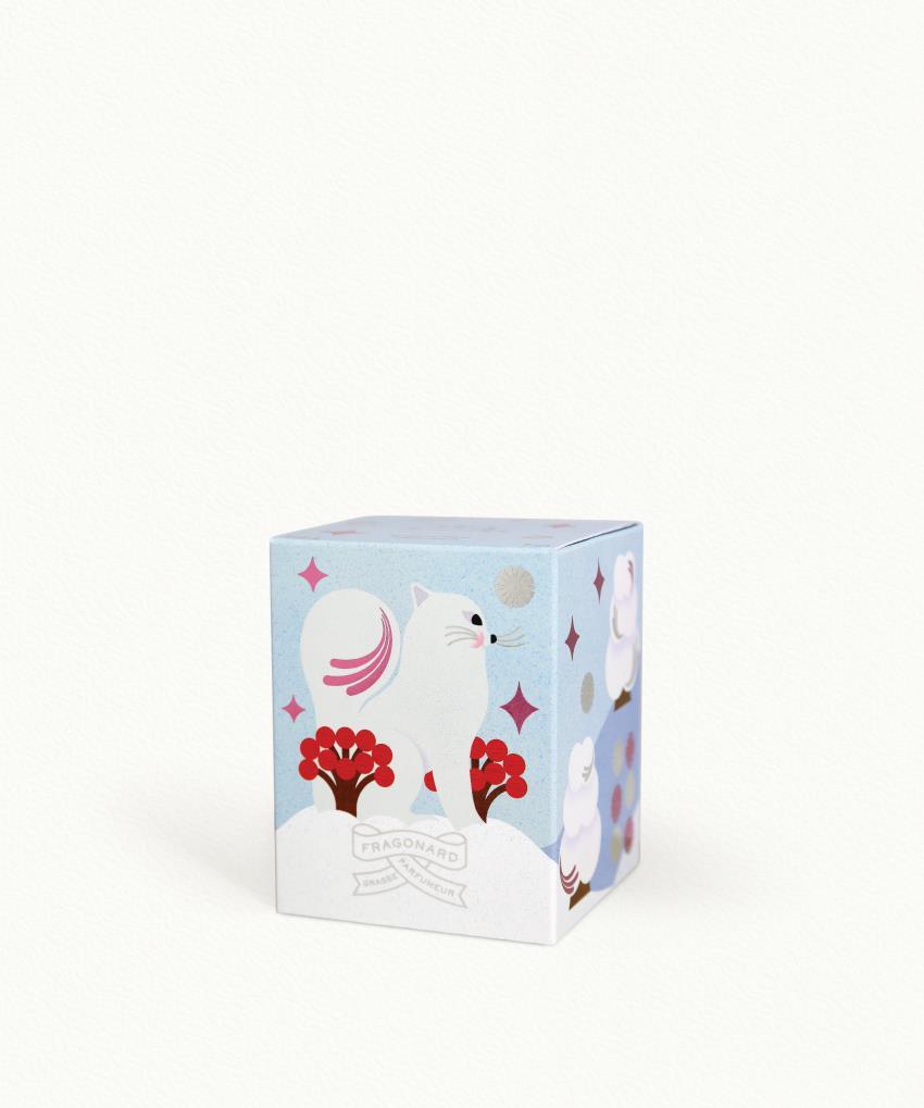 Rêve d'Hiver Candle with case - Decorated glass pot